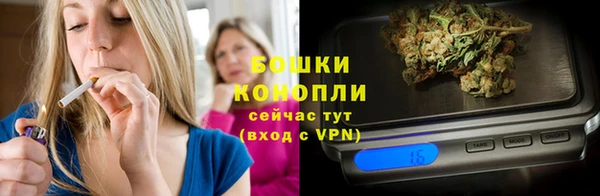 молекула духа Дмитров