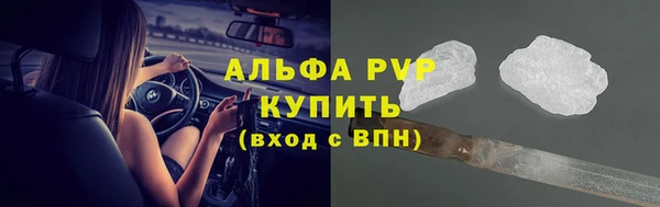 молекула духа Дмитров