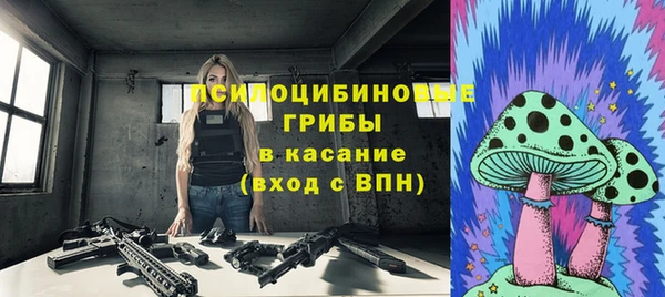 молекула духа Дмитров