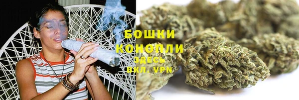 молекула духа Дмитров